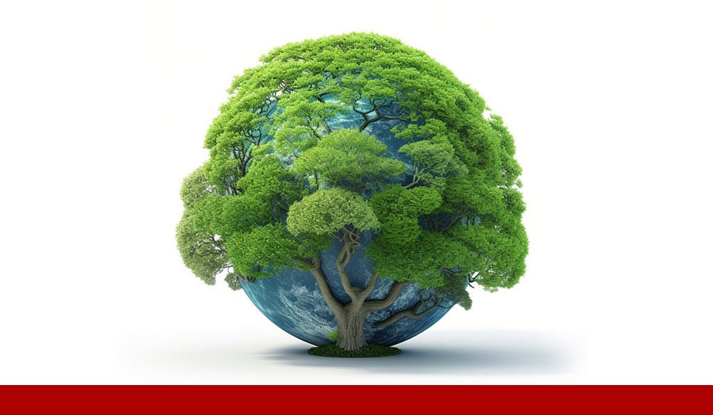 Educação Ambiental nas empresas